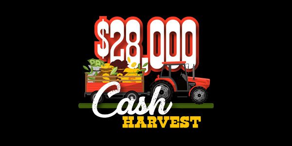 $28,000 Cash Harvest