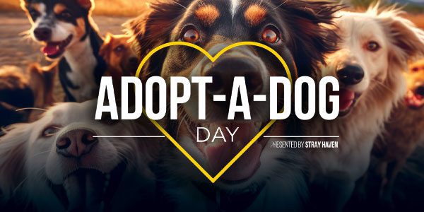 Adopt a Dog Day