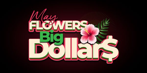 Text graphic reads "May Flowers Big Dollar$" with a pink hibiscus flower and green leaves on a dark background.