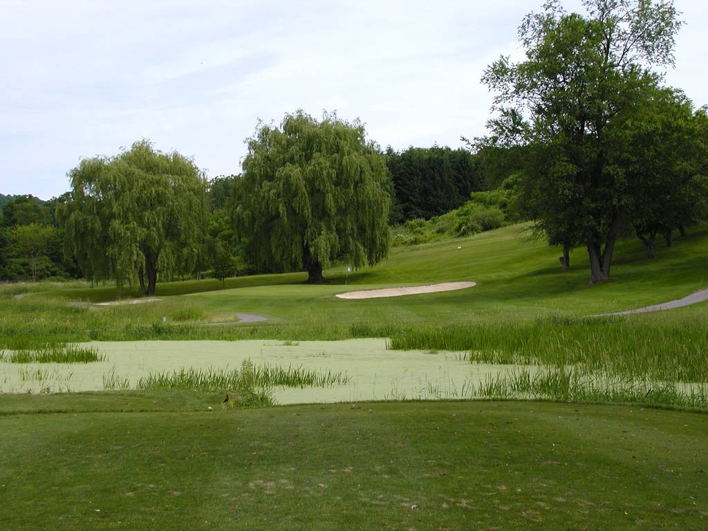 Tioga Golf Club Hole 6