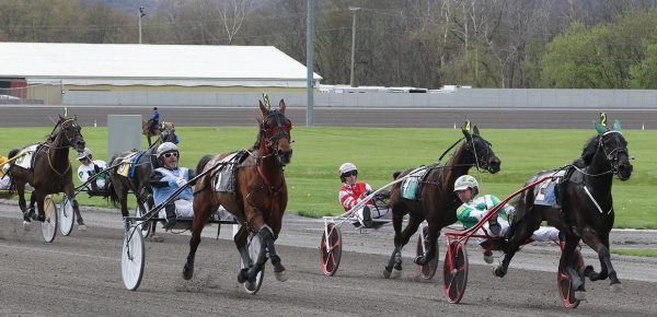 Racing | Tioga Downs Horse Racing Extravaganza